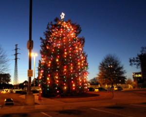 Photos from 2013 Tree Lighting Ceremony