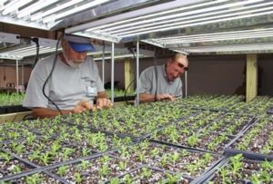 Self Regional grounds department growing plants for landscaping