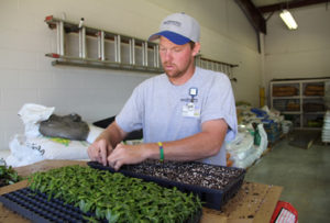 The grounds department growing plants from seed for use in Self Regional beautification and landscaping. 