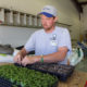 The grounds department growing plants from seed for use in Self Regional beautification and landscaping.