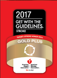 Get with the Guidelines Stroke Gold Plus