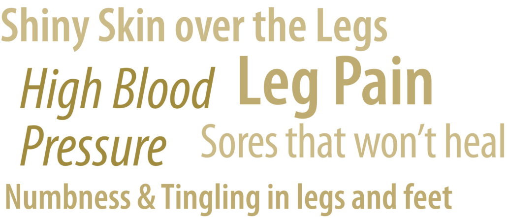 Warning signs of circulation problems: shiny skin, leg pain, high blood pressure, sores, numbness